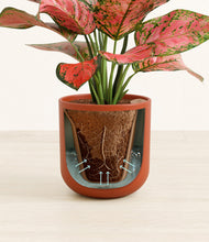 Load image into Gallery viewer, Earth Red