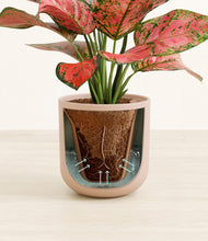 Load image into Gallery viewer, Sandy Pink