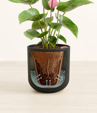 Load image into Gallery viewer, Stone Black