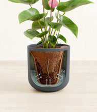 Load image into Gallery viewer, Iron Gray