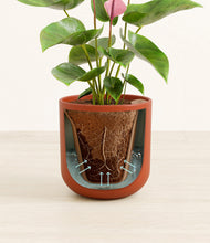 Load image into Gallery viewer, Earth Red