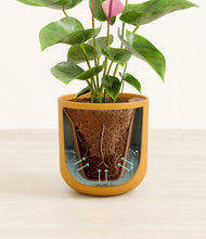 Load image into Gallery viewer, Sunset Orange