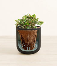 Load image into Gallery viewer, Stone Black stand:all