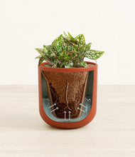 Load image into Gallery viewer, Earth Red stand:all