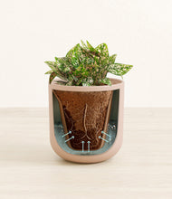 Load image into Gallery viewer, Sandy Pink stand:all