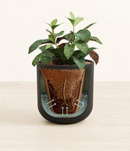 Load image into Gallery viewer, Stone Black stand:all