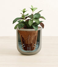 Load image into Gallery viewer, Sage Green stand:all