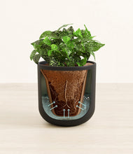 Load image into Gallery viewer, Stone Black