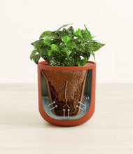 Load image into Gallery viewer, Earth Red