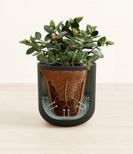 Load image into Gallery viewer, Stone Black