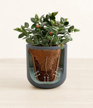 Load image into Gallery viewer, Iron Gray