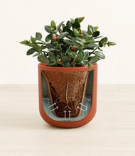 Load image into Gallery viewer, Earth Red