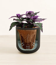 Load image into Gallery viewer, Stone Black