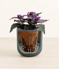 Load image into Gallery viewer, Iron Gray