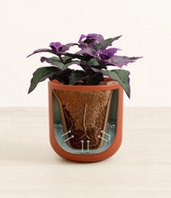 Load image into Gallery viewer, Earth Red