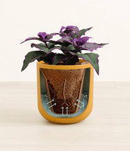 Load image into Gallery viewer, Sunset Orange