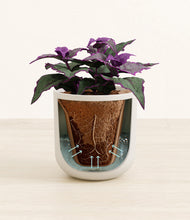 Load image into Gallery viewer, Natural Bamboo