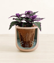 Load image into Gallery viewer, Sandy Pink