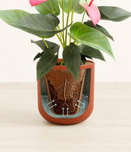 Load image into Gallery viewer, Earth Red