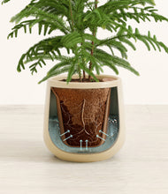 Load image into Gallery viewer, Almond Green stand:all