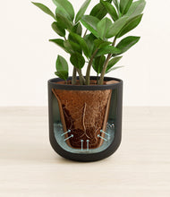 Load image into Gallery viewer, Stone Black