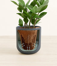 Load image into Gallery viewer, Iron Gray