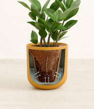 Load image into Gallery viewer, Sunset Orange