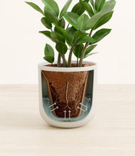 Load image into Gallery viewer, Natural Bamboo