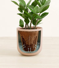 Load image into Gallery viewer, Sandy Pink