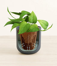 Load image into Gallery viewer, Iron Gray