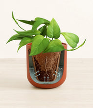 Load image into Gallery viewer, Earth Red