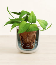 Load image into Gallery viewer, Natural Bamboo