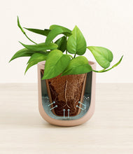 Load image into Gallery viewer, Sandy Pink