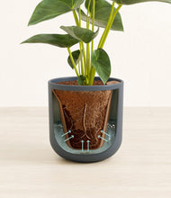 Load image into Gallery viewer, Iron Gray