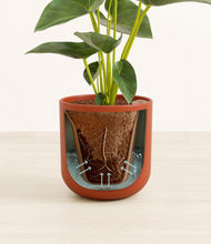 Load image into Gallery viewer, Earth Red