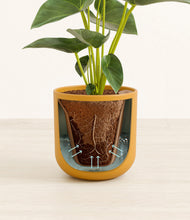 Load image into Gallery viewer, Sunset Orange