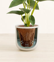 Load image into Gallery viewer, Natural Bamboo