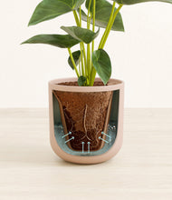 Load image into Gallery viewer, Sandy Pink