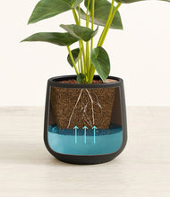 Load image into Gallery viewer, Black