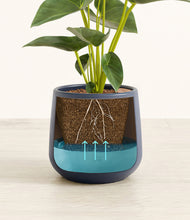 Load image into Gallery viewer, Deep Navy