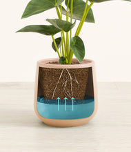 Load image into Gallery viewer, Gentle Pink