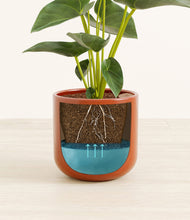 Load image into Gallery viewer, Glossy Red stand:all