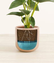 Load image into Gallery viewer, Glossy Pink stand:all