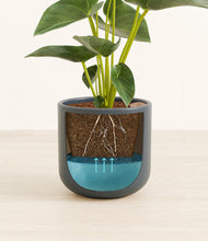 Load image into Gallery viewer, Iron Gray stand:all