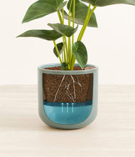 Load image into Gallery viewer, Reactive Aqua stand:all