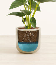 Load image into Gallery viewer, Sage Green stand:all