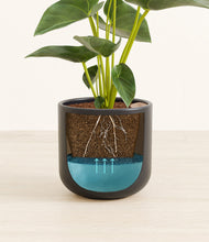 Load image into Gallery viewer, Stone Black stand:all