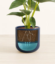 Load image into Gallery viewer, Twilight Blue stand:all