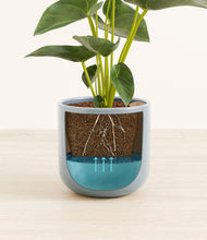 Load image into Gallery viewer, Misty Blue stand:all