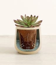 Load image into Gallery viewer, Almond Green stand:all